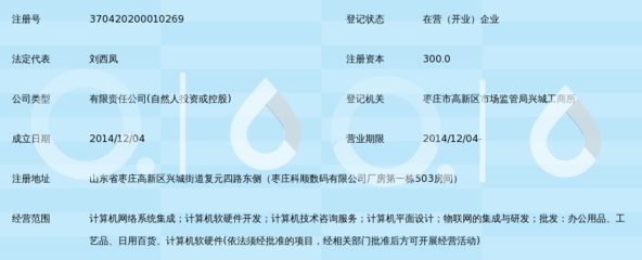 山东润拓网络科技 深耕网络技术开发的创新力量